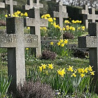 Bild von Dieter & Lissy