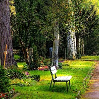 Bild von Rainer Liepold