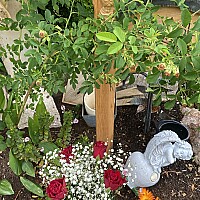 Bild von Isabell Burke