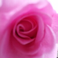 Bild von Ursula Köhler geb. Nowarra